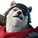 Polar Patroller
