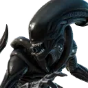 Xenomorph