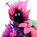 Bloom