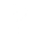 Drum Major