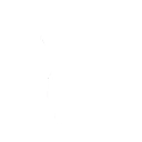 Rootin' Tootin'