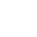 Dunk on 'Em