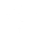 Neo's Bullet Time