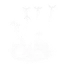 Raven's Legion