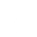 Squishee Boarding