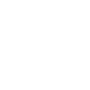 The Robot