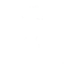 Shadow Boxer