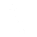Sign Spinner