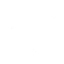 Mighty Ant