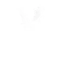 Rezzblocks
