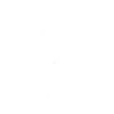 Dance Monkey