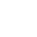 The Worm