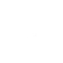 Carter's Training
