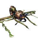 Nautilus