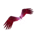 Eagle's Form