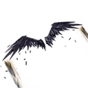 Wingspan