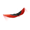 Red Robin's Wings