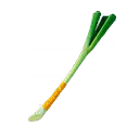 The Greenest Onion