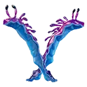 Scampi