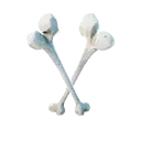 Beef Bone