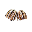 Premiere Poms