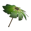 Palm Leaf